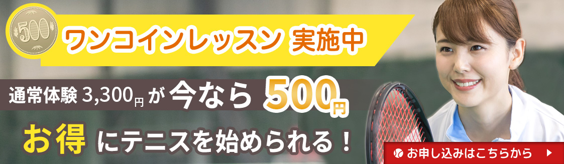 ワンコインレッスンバナー